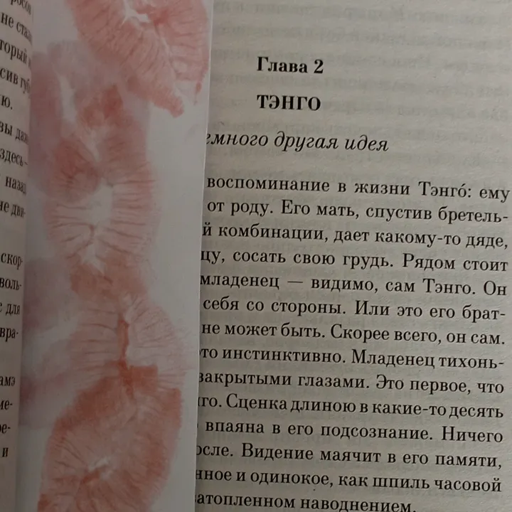 @napipapi_book
