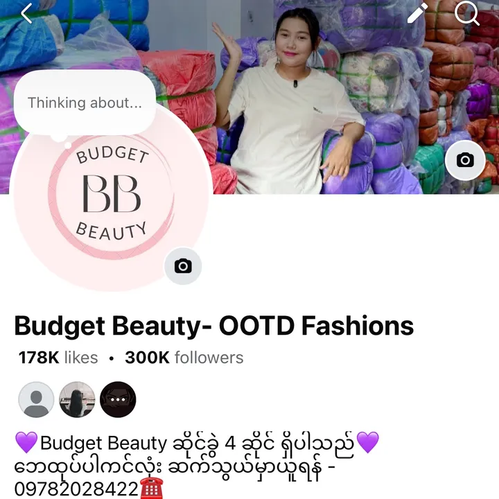 budgetbeauty2582
