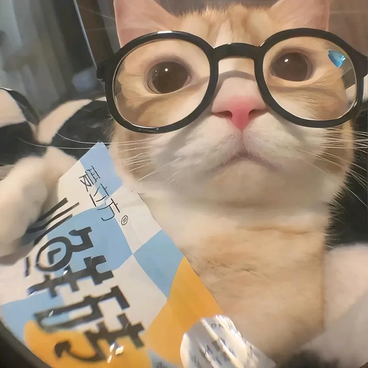 @mannsenpai2007