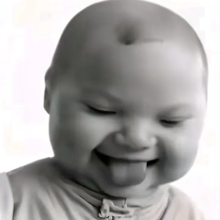 mamimikro