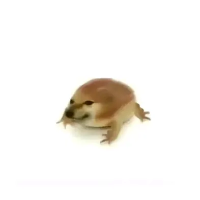 pipilabu123