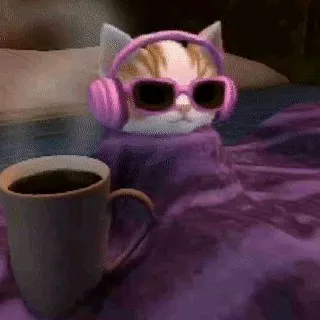@tiktokterrapessoa