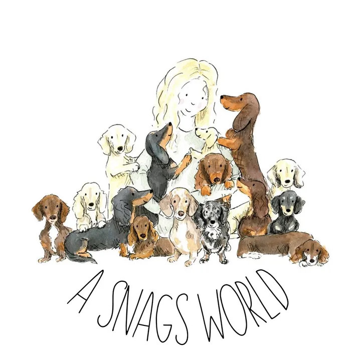 @asnagsworld