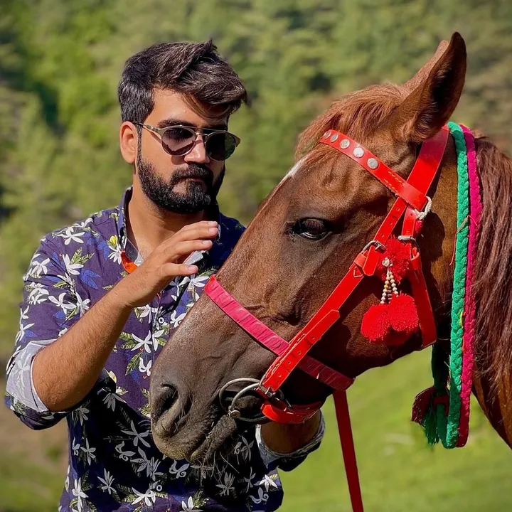 @vibe_with_sheikhspear