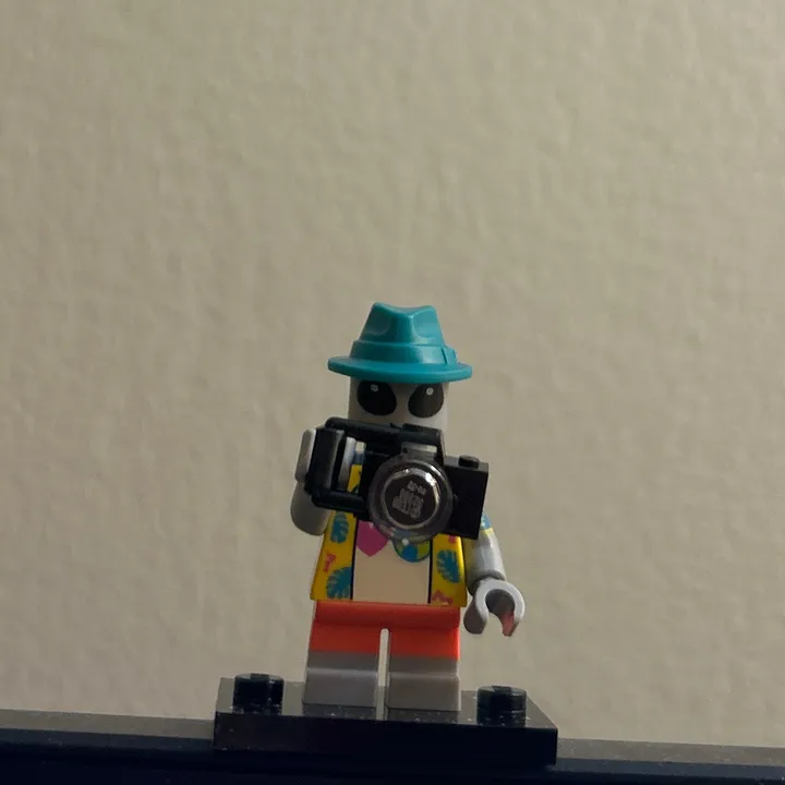 douni_bricks