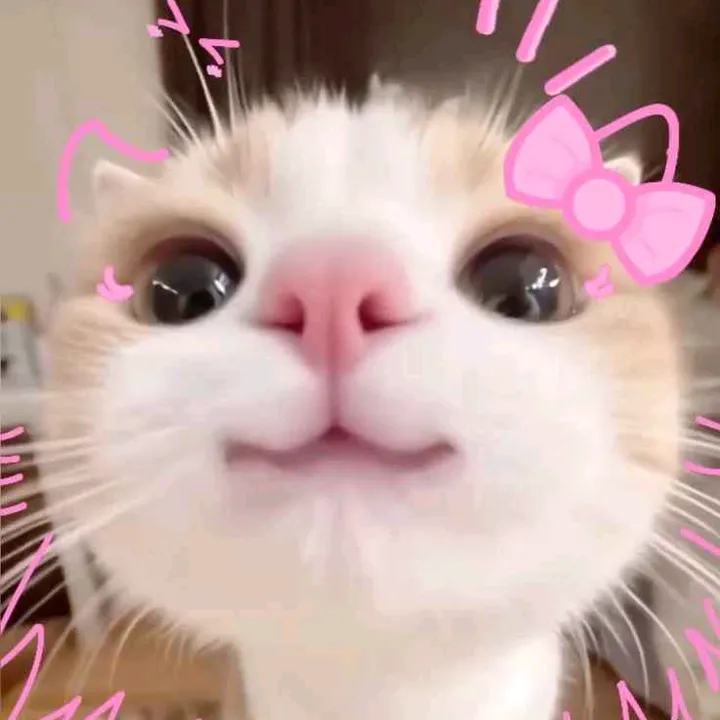 @sangnhi760