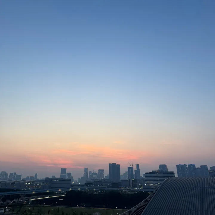 @tokyo.raw.movie