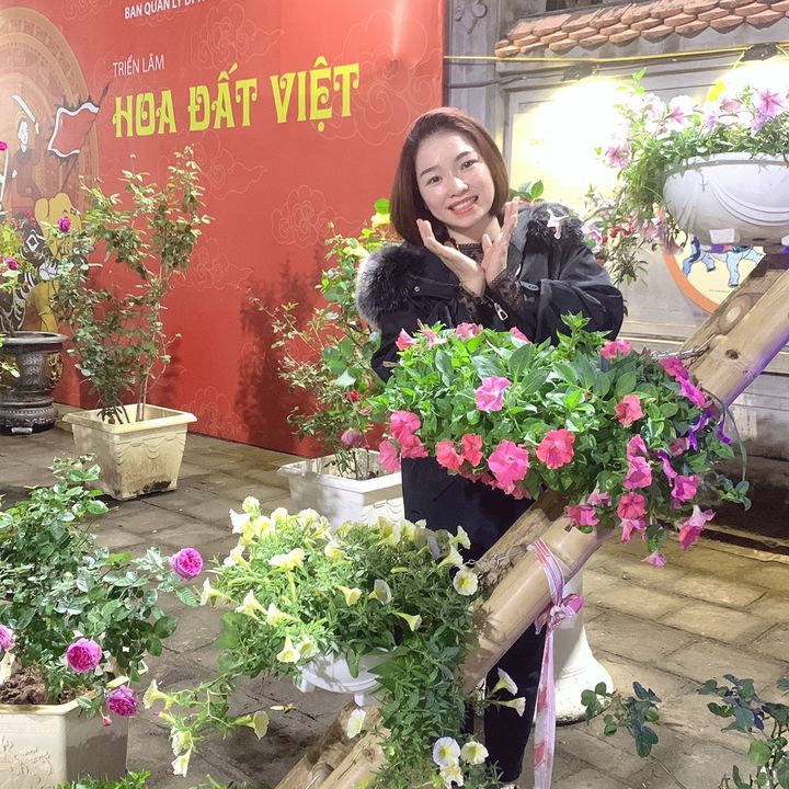 maianhngocminh.ynl