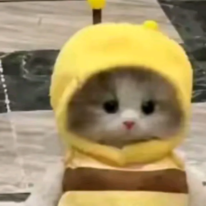 nenayy_lovsunghoon