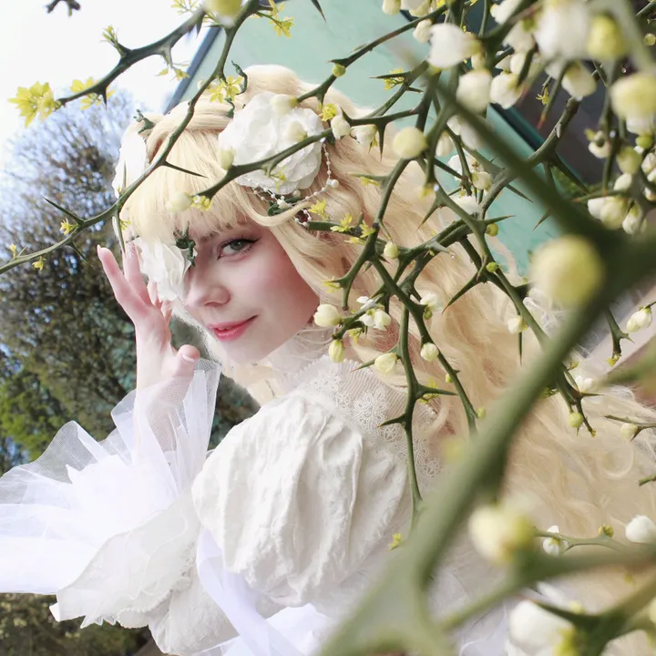 @medeelunaire