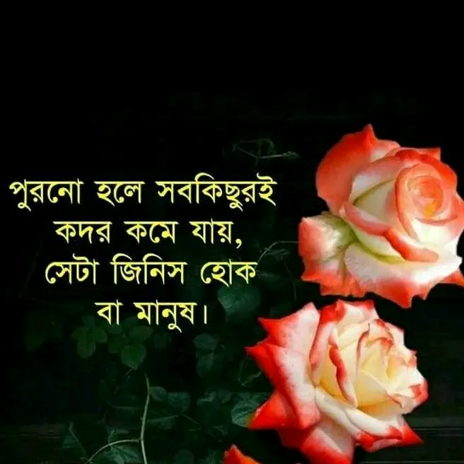 @user7154800684849
