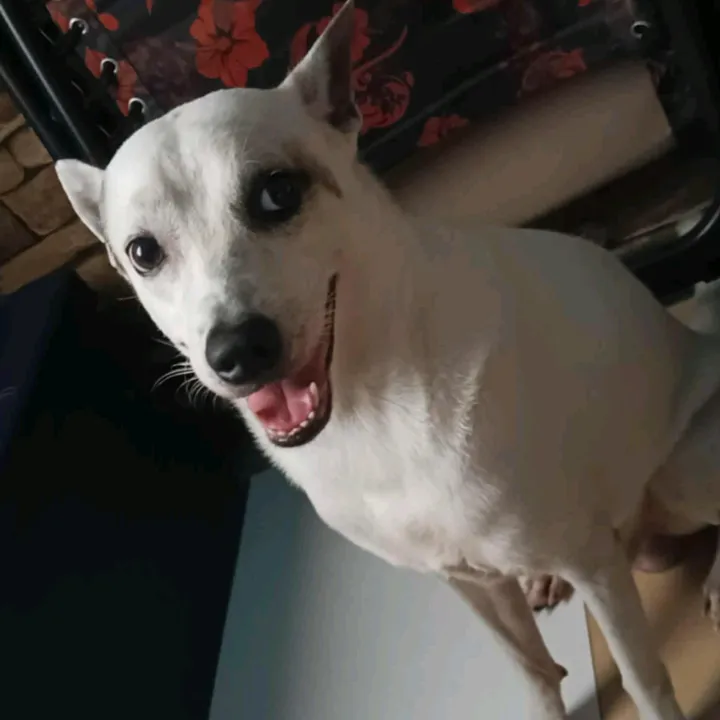 @ourbuddybard
