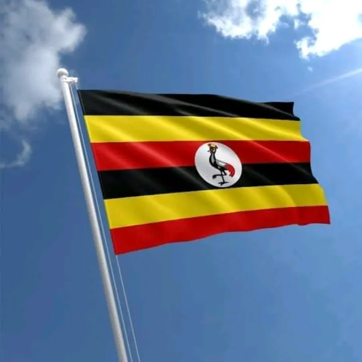 @whatsonuganda