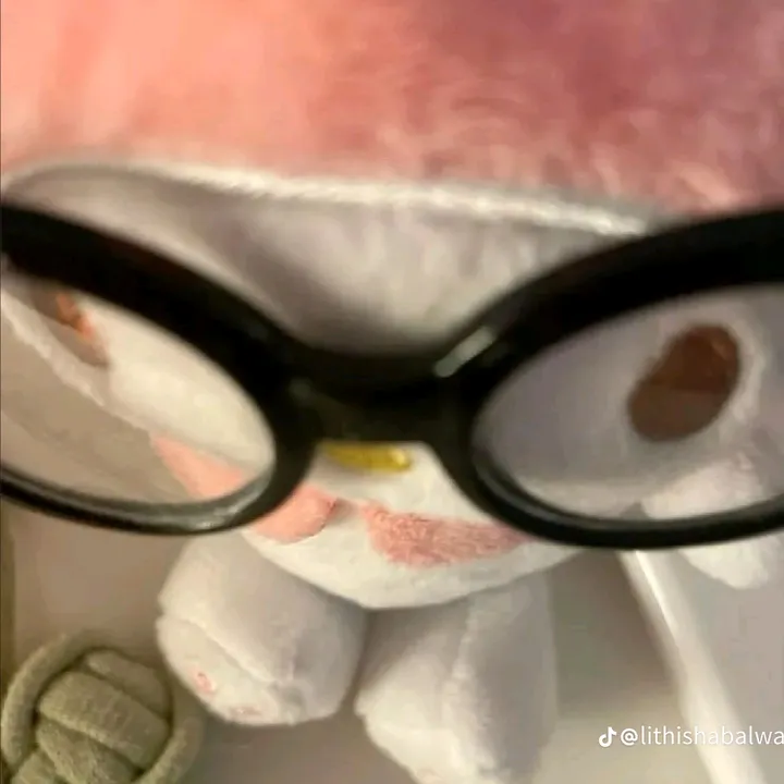 @shikimorisan865