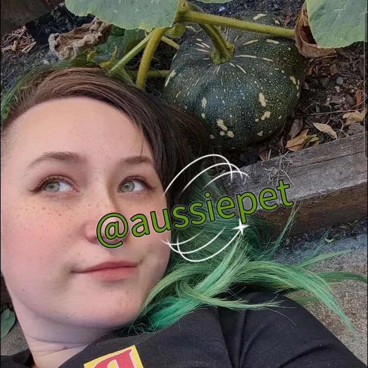 aussiepet