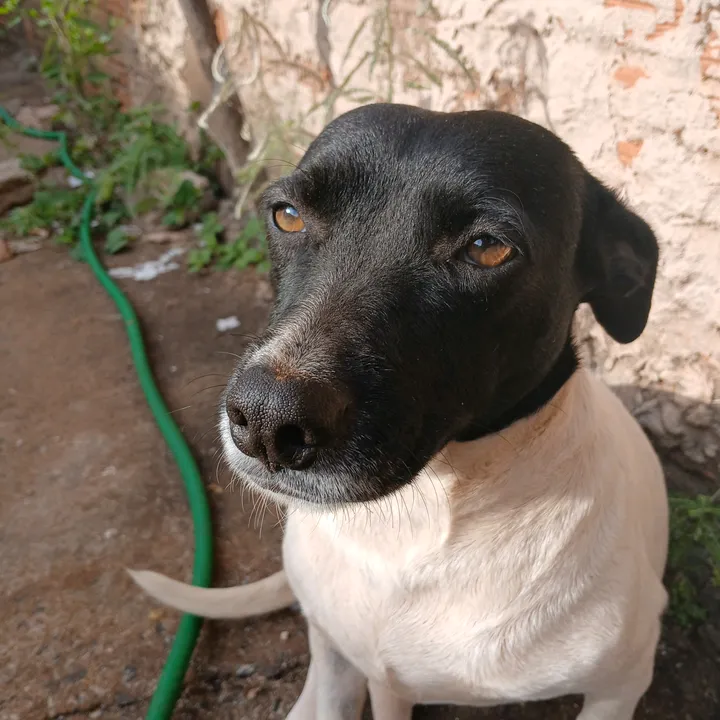 nubia.oficial8