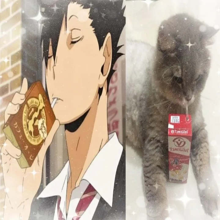 @katkacchan_sleepy