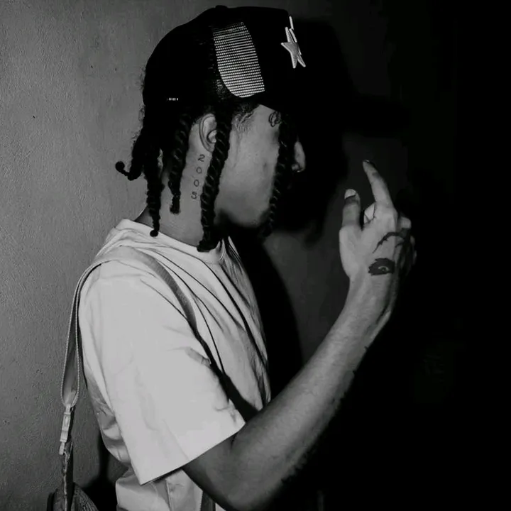 palido.clips