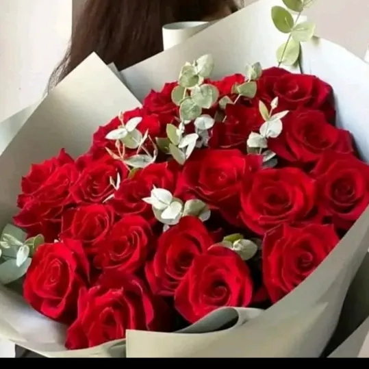 @05cris6