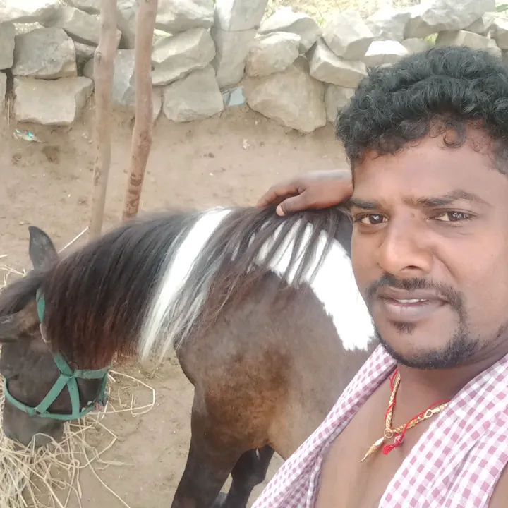 @chakravarthi2929