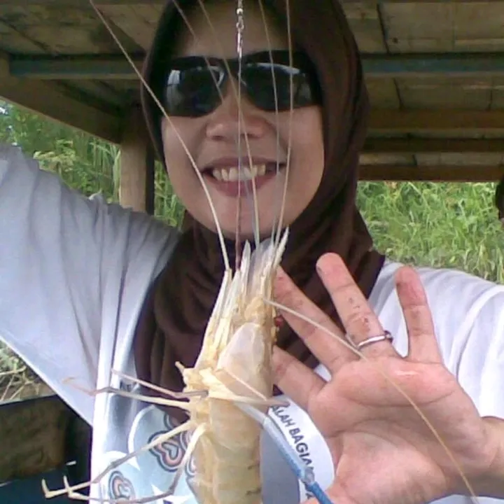 @maklebah
