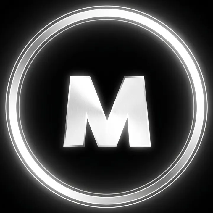 @mr_fs_game