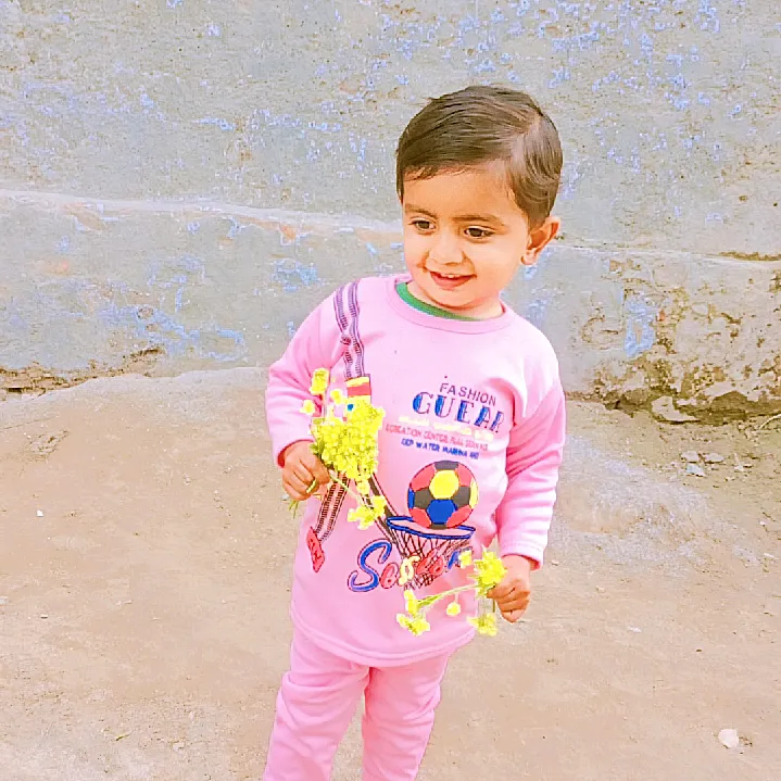 @hasnainshaheensb