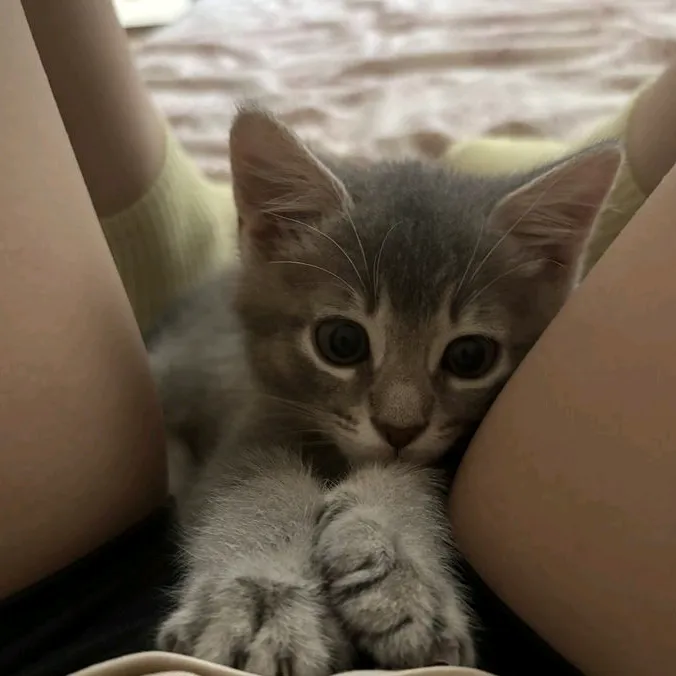 @kaldaganclips