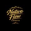nativeflow.c