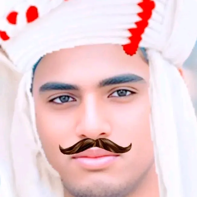 @hidar.ali719