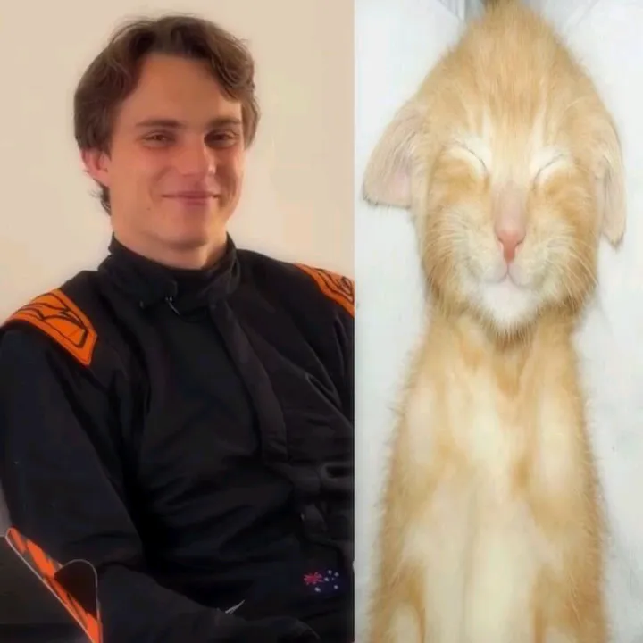 vettxxh