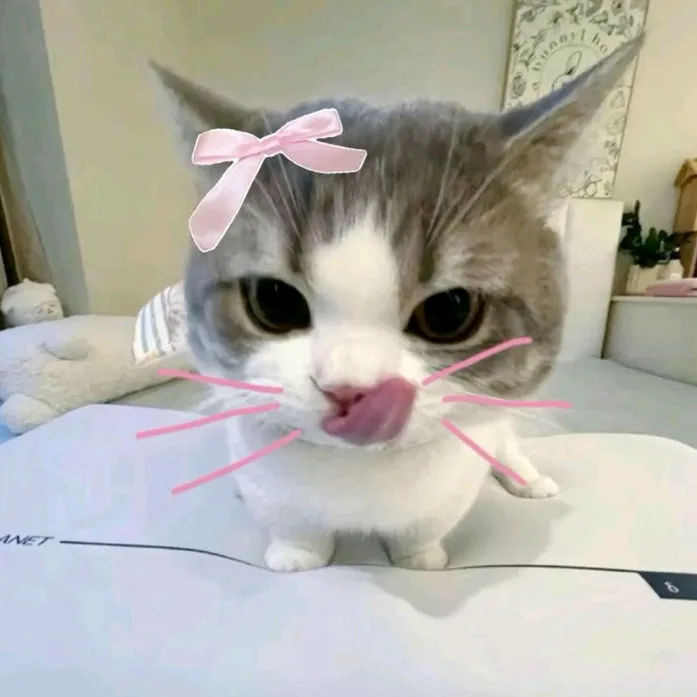 @sf79630
