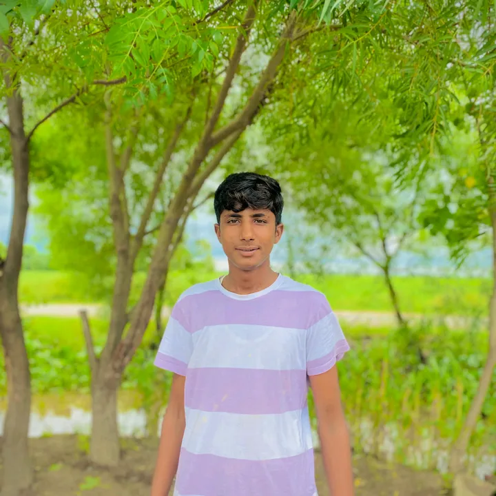 @zidii.saroya