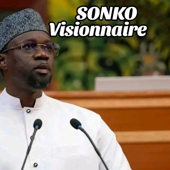 sonkovisionnaire6ieme