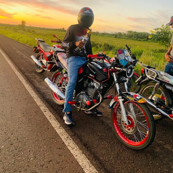 @luan_2006_