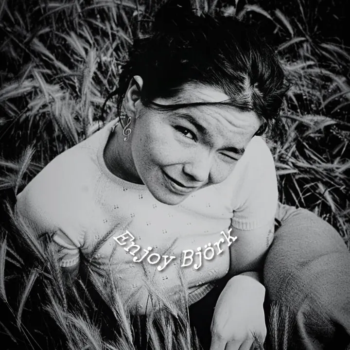 enjoy.bjork