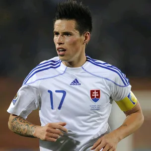 hamsik334