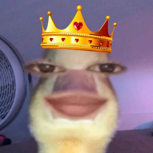 @ashchael12