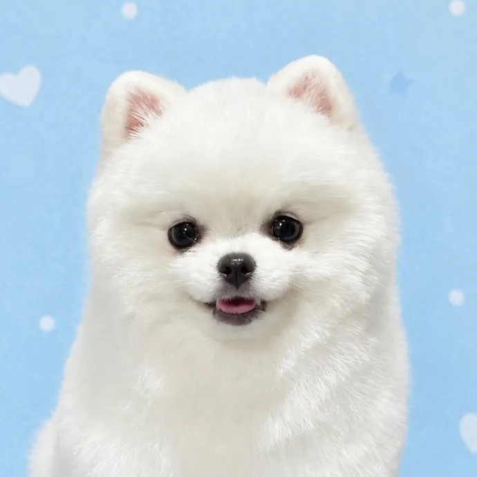 @miru_pppp04