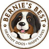 Bernie's Best